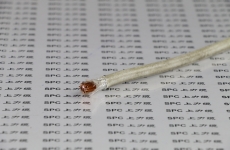 聚氯乙烯絕緣PVC護(hù)套耐火控制電纜NH-KVV