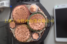 BPVVP變頻專(zhuān)用電纜
